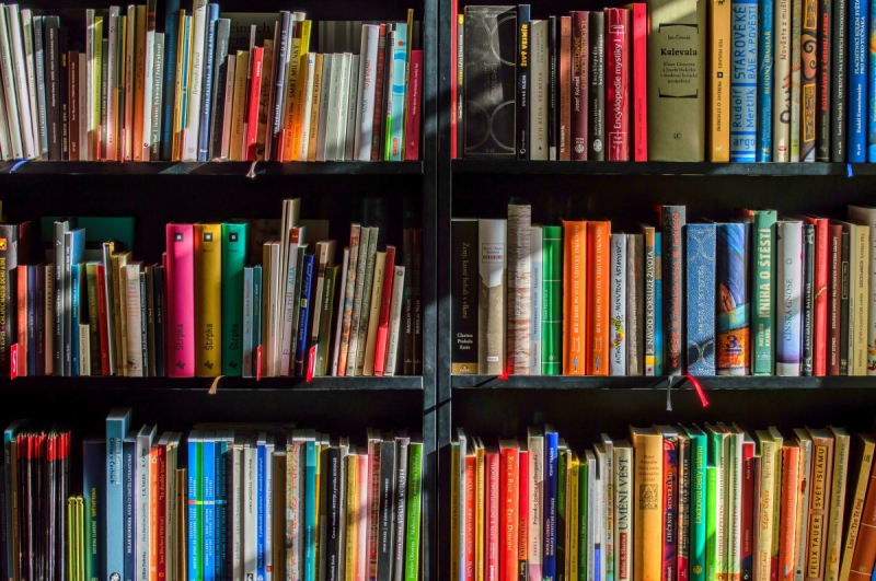 vitrine-MONTMEYAN-min_books_bookstore_book_reading_shop_writer_sale_books_read-822866